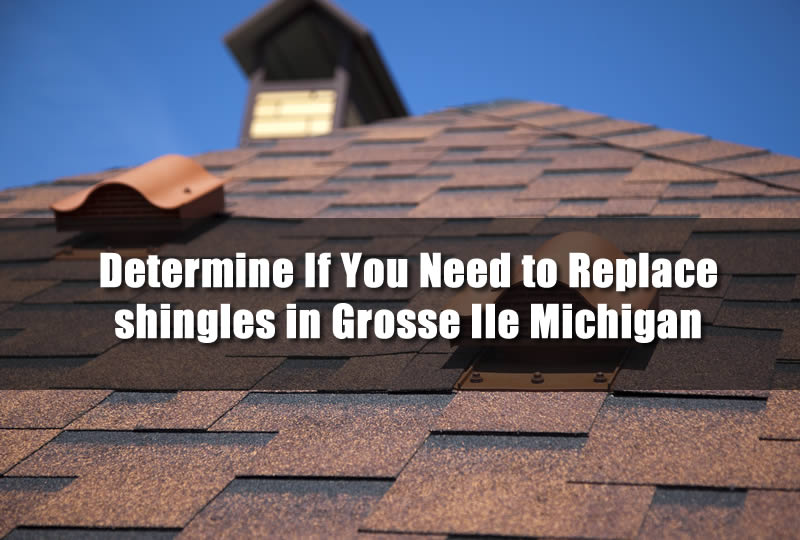 Determine If You Need to Replace shingles in Grosse Ile Michigan