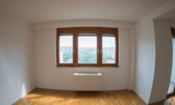 New Home Windows in Downriver Michigan Are An Excellent Choice for a Home Improvement Project