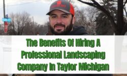 The Benefits Of Hiring A Professional Landscaping Company In Taylor Michigan